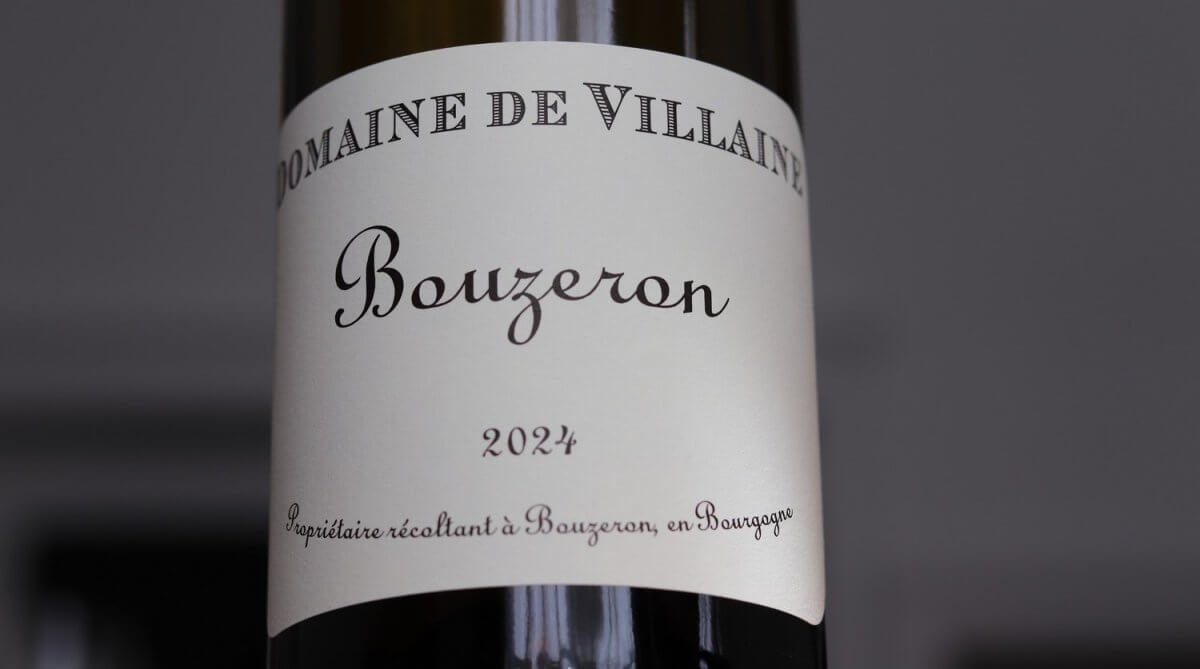 Aligoté in Burgundy: The Vibrant Alternative to Chardonnay 