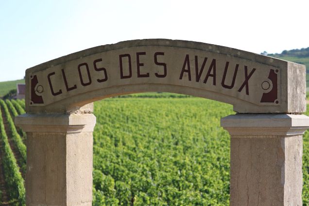 Stone archway marking the entrance to the Clos des Avaux vineyard in Beaune, a prestigious Premier Cru plot in the heart of Burgundy.