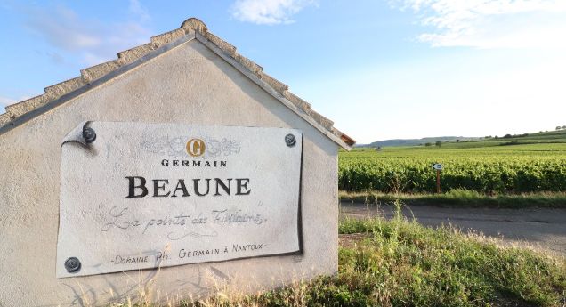 A stone wall sign marking the entrance to Beaune vineyards under a blue sky, illustrating Céline Dandelot's local guide to the wine capital.