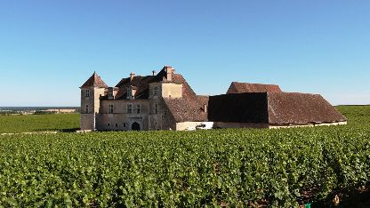 Panoramic view of the Château du Clos de Vougeot and its Grand Cru vineyards, illustrating a deep dive into Côte de Nuits Pinot Noir terroirs.