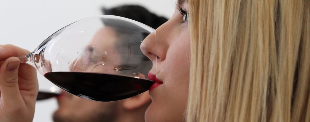 Vinopedagogy: definition